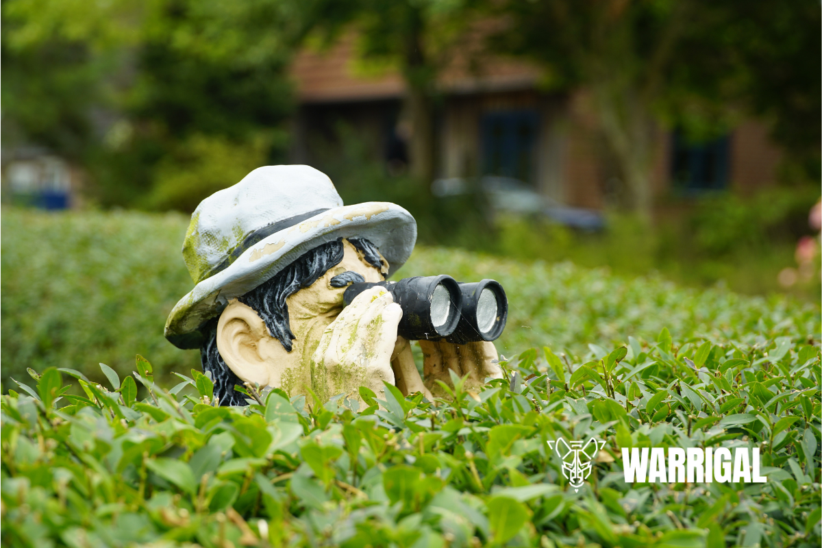 regarder chez le voisin