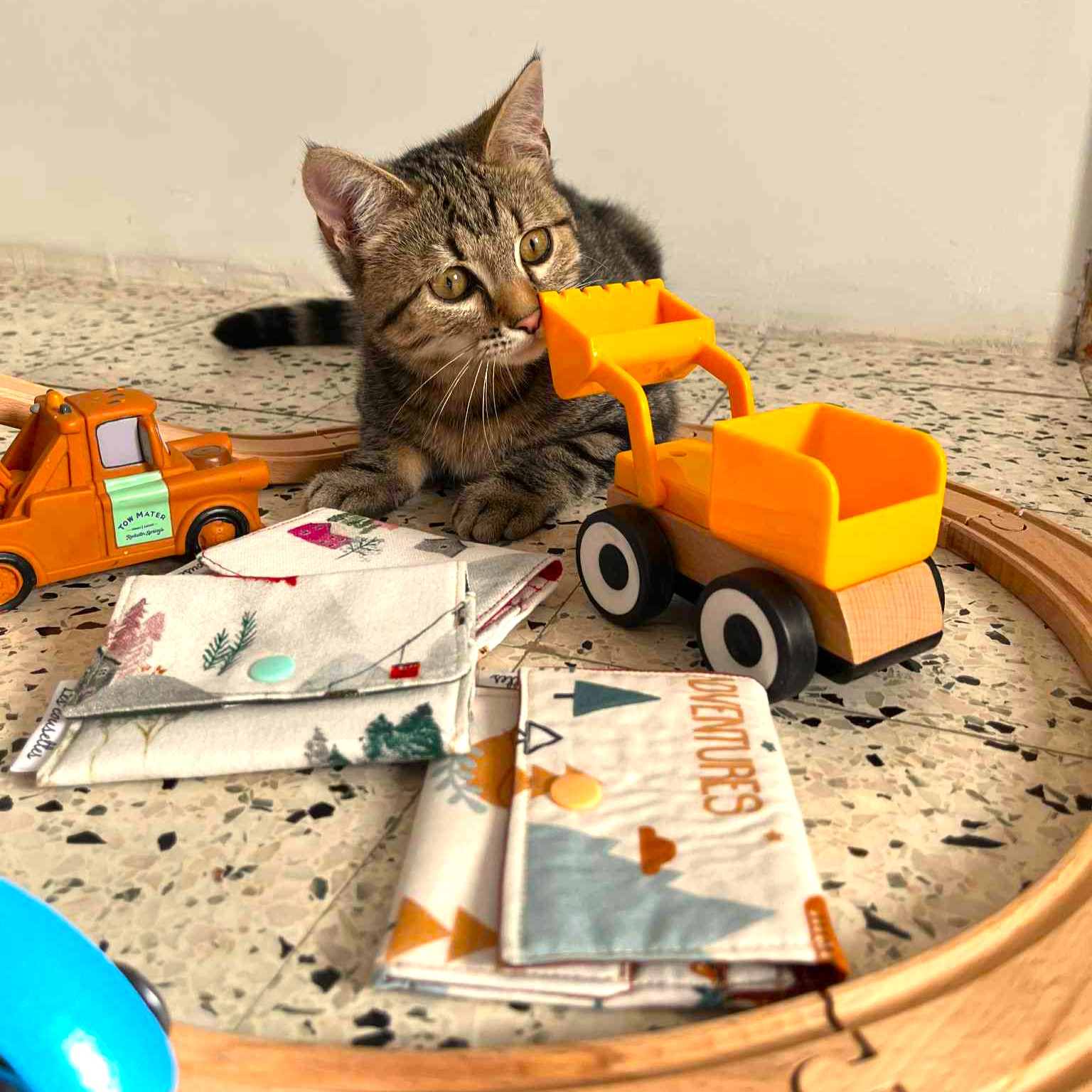 Les Cousettes - pochettes jeunesse et Napoléon